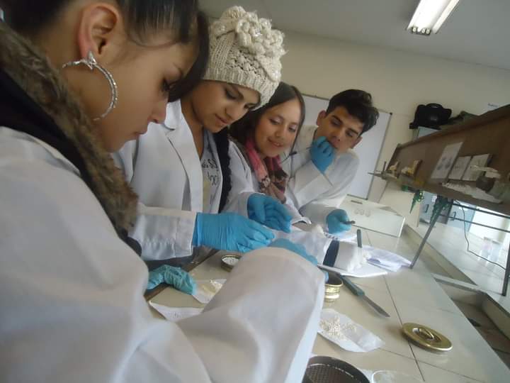 Ciencias4